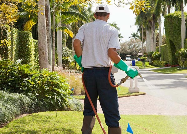 About Denton MT Pest Control
